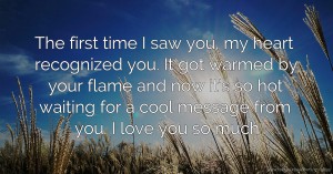 The first time I saw you, my heart recognized you. It got warmed by your flame and now it's so hot waiting for a cool message from you. I love you so much.
