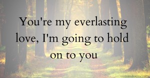 You're my everlasting love, I'm going to hold on to you.