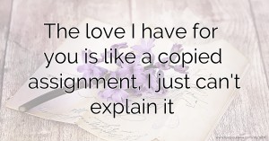 The love I have for you is like a copied assignment, I just can't explain it